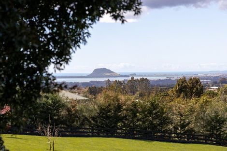 Photo of property in 727 Esdaile Road, Whakamarama, Tauranga, 3180