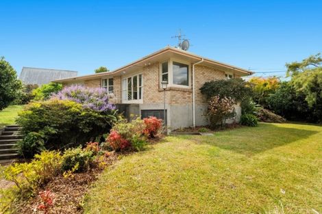Photo of property in 23 Paine Street, Judea, Tauranga, 3110