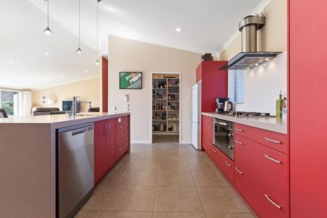 Photo of property in 56 Gordon Avenue, Te Aroha, 3392