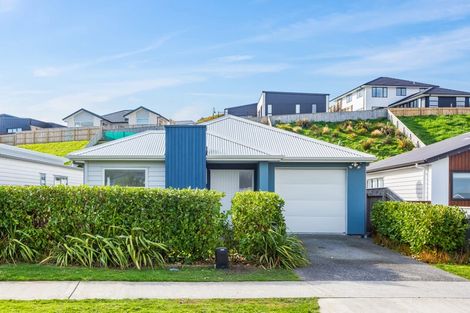 Photo of property in 97 John Burke Drive, Aotea, Porirua, 5024