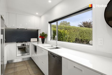 Photo of property in 58 Mornington Road, Balaclava, Dunedin, 9011