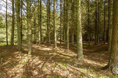 Photo of property in 60 Palmer Mill Road, Wairakei, Taupo, 3384