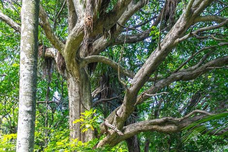 Photo of property in 10 Puriri Place, Tuateawa, Coromandel, 3583