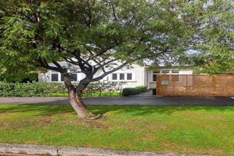 Photo of property in 6 Albert Street, Saint Clair, Dunedin, 9012