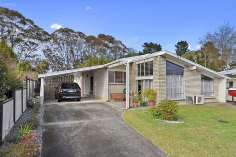 Photo of property in 29 Fitzroy Avenue, Fitzroy, Hamilton, 3206