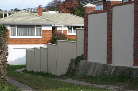 Photo of property in 48 Pacific Street, Roslyn, Dunedin, 9010