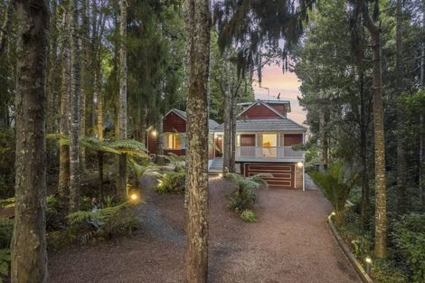 Photo of property in 17 Tawini Road, Titirangi, Auckland, 0604