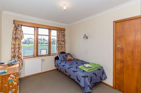Photo of property in 39 Carlisle Street, Levin, 5510