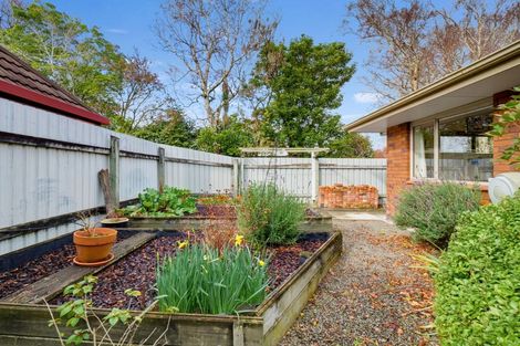 Photo of property in 219 Victoria Avenue, Hokowhitu, Palmerston North, 4410