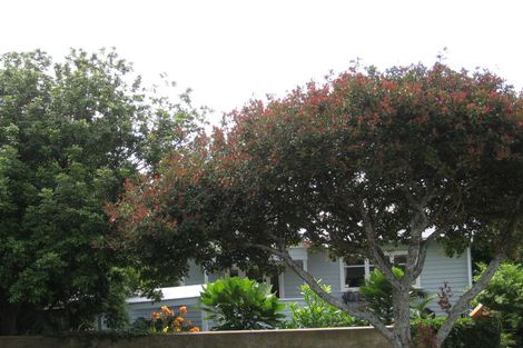 Photo of property in 45 Allendale Road, Mount Albert, Auckland, 1025