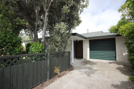 Photo of property in 138 Ferguson Street, West End, Palmerston North, 4412