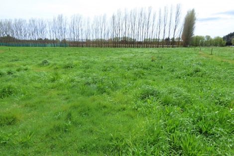 Photo of property in 410 Macdonald Road, Te Teko, Whakatane, 3192