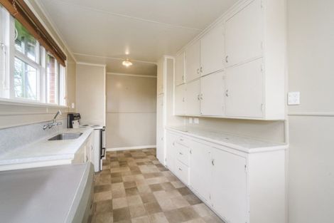 Photo of property in 115 Limbrick Street, Terrace End, Palmerston North, 4410