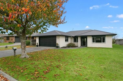 Photo of property in 16 Ashworth Place, Matamata, 3400