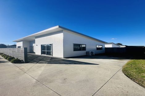 Photo of property in 43a Konini Street, Tawhero, Whanganui, 4501