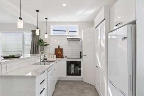 Photo of property in 49 Mckinley Crescent, Brooklyn, Wellington, 6021