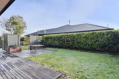 Photo of property in 3 Parkinson Place, Woodend, 7610