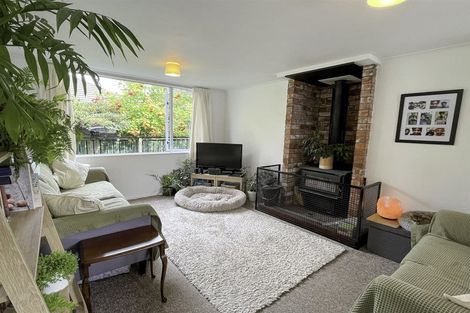 Photo of property in 53 Main North Road, Geraldine, 7930