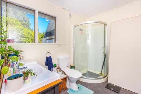 Photo of property in 120 Maungatawhiri Road, Raglan, 3295