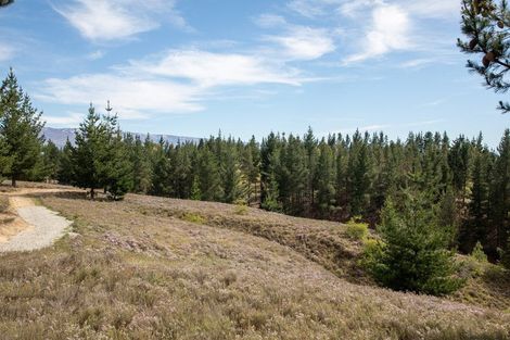 Photo of property in 92a Gilligans Gully Road, Alexandra, 9320