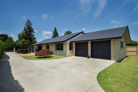 Photo of property in 61 Burwood Road, Matamata, 3400