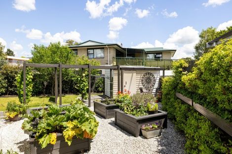 Photo of property in 163 Lake Crescent, Hamilton Lake, Hamilton, 3204