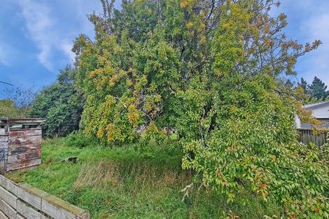 Photo of property in 19 Flower Street, Bulls, 4818