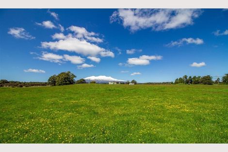 Photo of property in 1 Mead Lane, Horopito, Raetihi, 4696