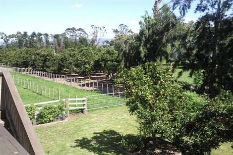 Photo of property in 397 Plummers Point Road, Whakamarama, Tauranga, 3172