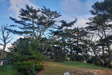 Photo of property in 28 Haigh Access Road, Redvale, Albany, 0794