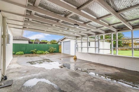 Photo of property in 17 Elizabeth Street, Feilding, 4702