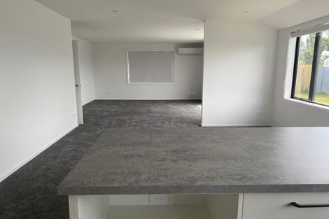 Photo of property in 103a Trevors Road, Hampstead, Ashburton, 7700