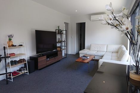 Photo of property in 67 Mary Ellen Street, Pegasus, 7612