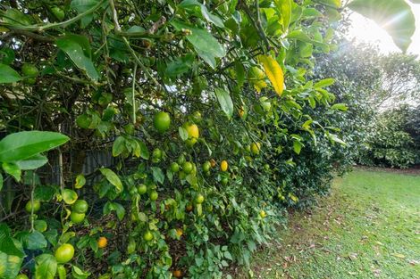 Photo of property in 16 Easton Way, Levin, 5510