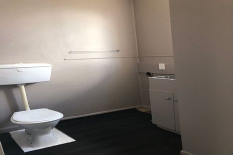 Photo of property in 19a Irvine Street, Frankton, Hamilton, 3204