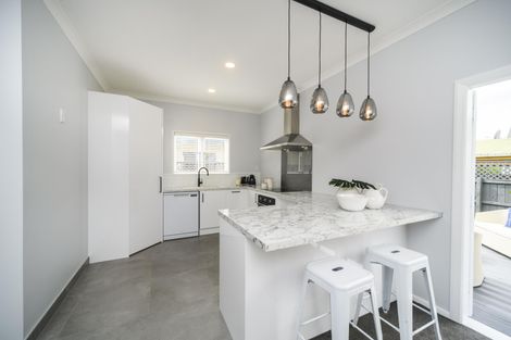 Photo of property in 29 Limbrick Street, Terrace End, Palmerston North, 4410