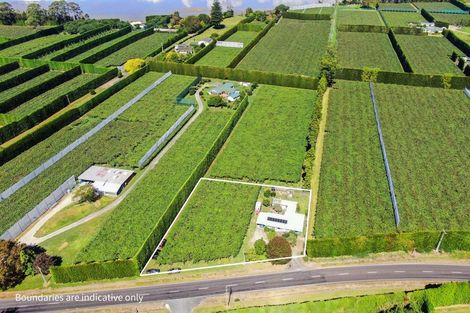 Photo of property in 186 Beach Road, Katikati, 3178