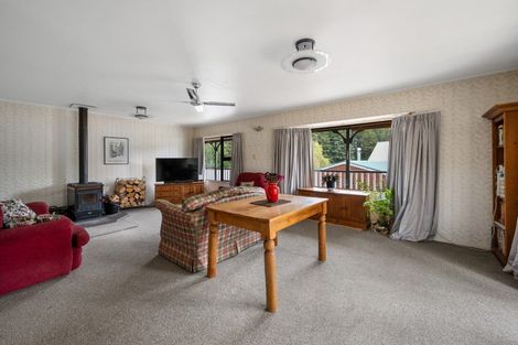 Photo of property in 21 Ballarat Avenue, Naseby, Ranfurly, 9396