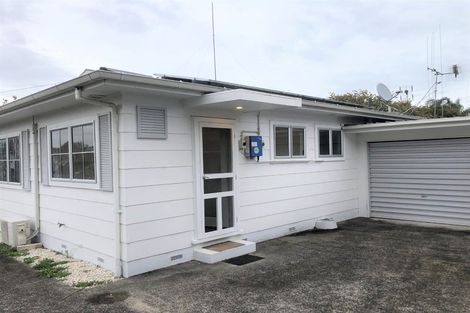 Photo of property in 97 Fitzroy Avenue, Fitzroy, Hamilton, 3206