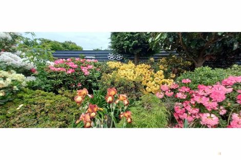 Photo of property in 236a Talbot Street, Geraldine, 7930