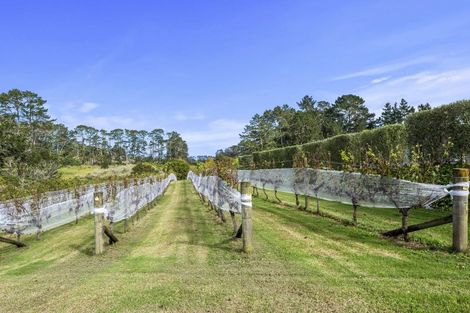 Photo of property in 583 State Highway 16, Kumeu, 0891