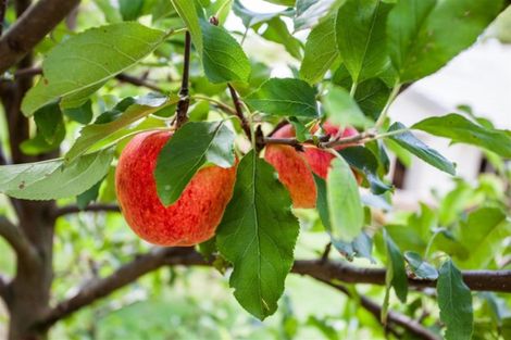 Photo of property in 1b Governors Heights, Whangamata, 3620