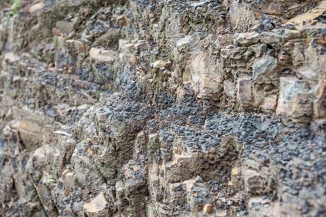 Photo of property in 659a White Pine Bush Road, White Pine Bush, Whakatane, 3191