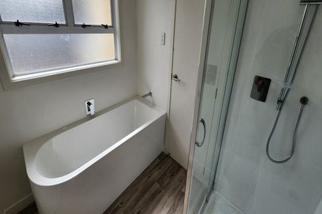 Photo of property in 119a Hamlet Street, Stratford, 4332