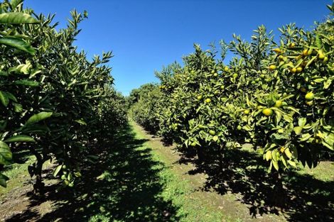 Photo of property in 982 Back Ormond Road, Makauri, Gisborne, 4071