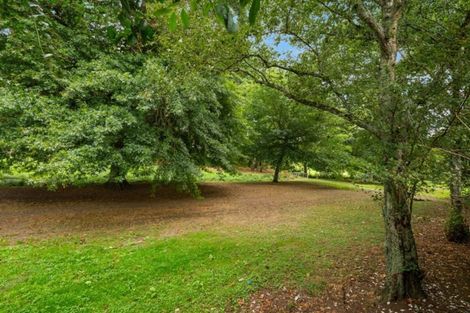 Photo of property in 22 Wrigley Road, Fordlands, Rotorua, 3015