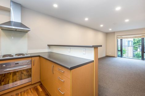 Photo of property in 17 Dovedale Place, Parnell, Auckland, 1010