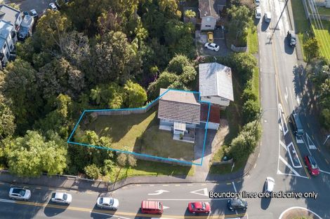 Photo of property in 302 Swanson Road, Henderson, Auckland, 0610