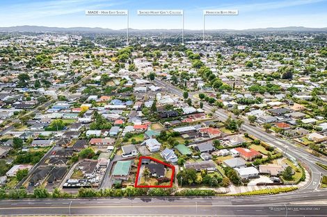 Photo of property in 51 Sillary Street, Hamilton East, Hamilton, 3216