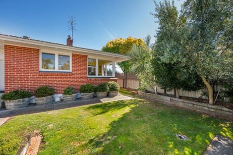 Photo of property in 44 Colemans Road, Springlands, Blenheim, 7201